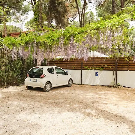 Guest house La