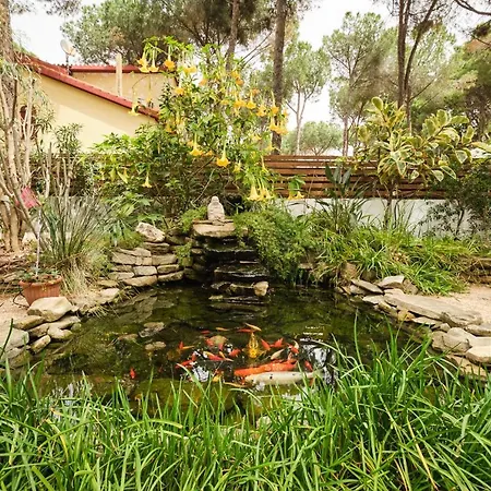 Guest house La