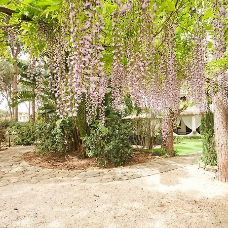 Guest house La 3*