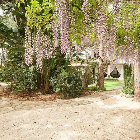 Guest house La 3*