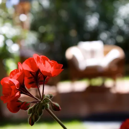 Guest house La