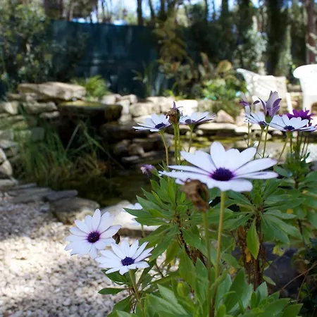 Guest house La Pula